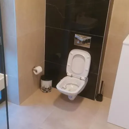 Apartamentul Ivanic 102