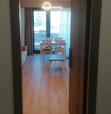 Apartamentul Ivanic 102 *